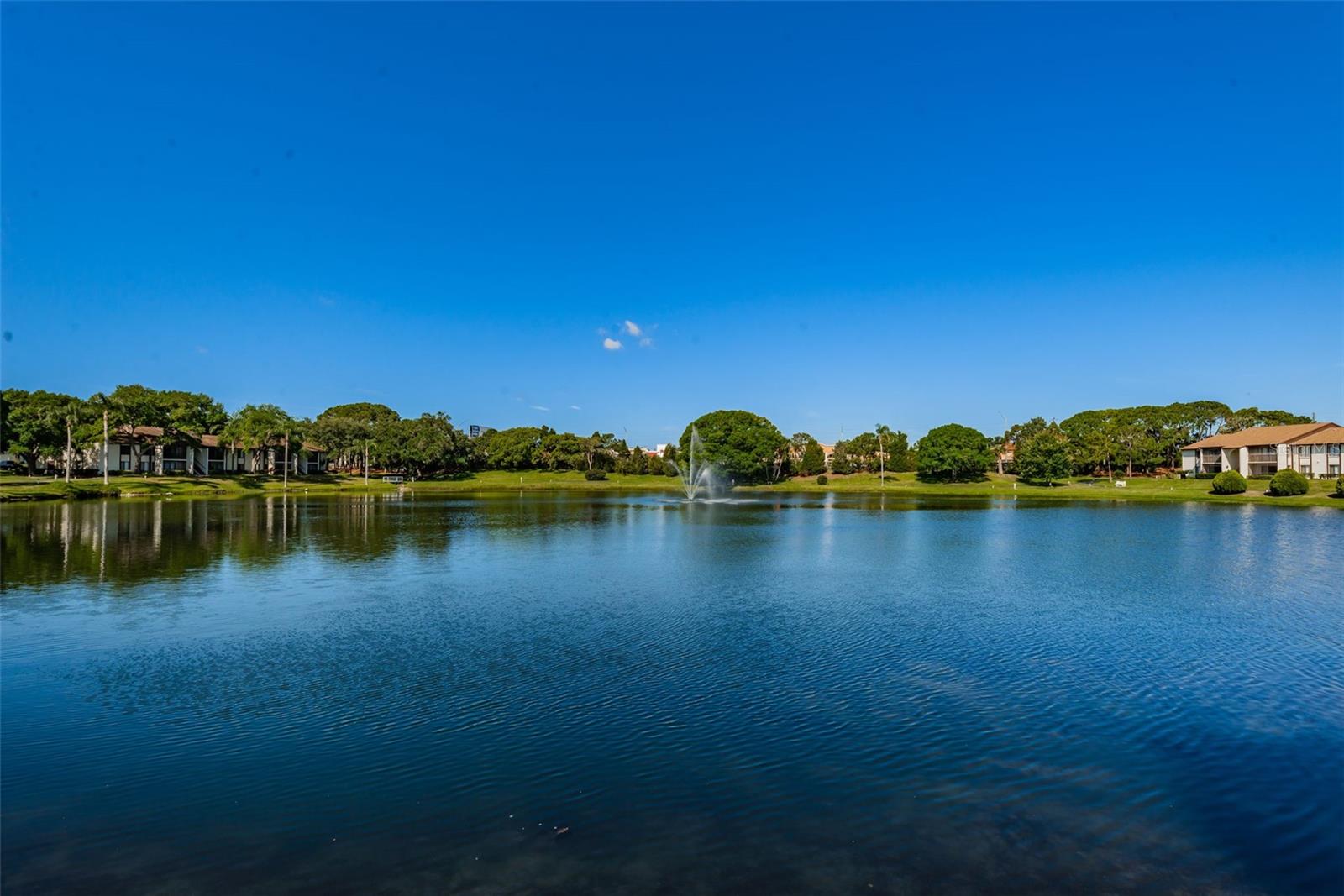 2687 PINE RIDGE WAY S #B2, PALM HARBOR, FL, 34684