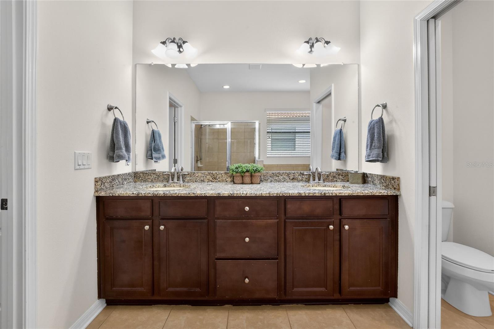 3935 SUNSET LAKE DR, LAKELAND, FL, 33810