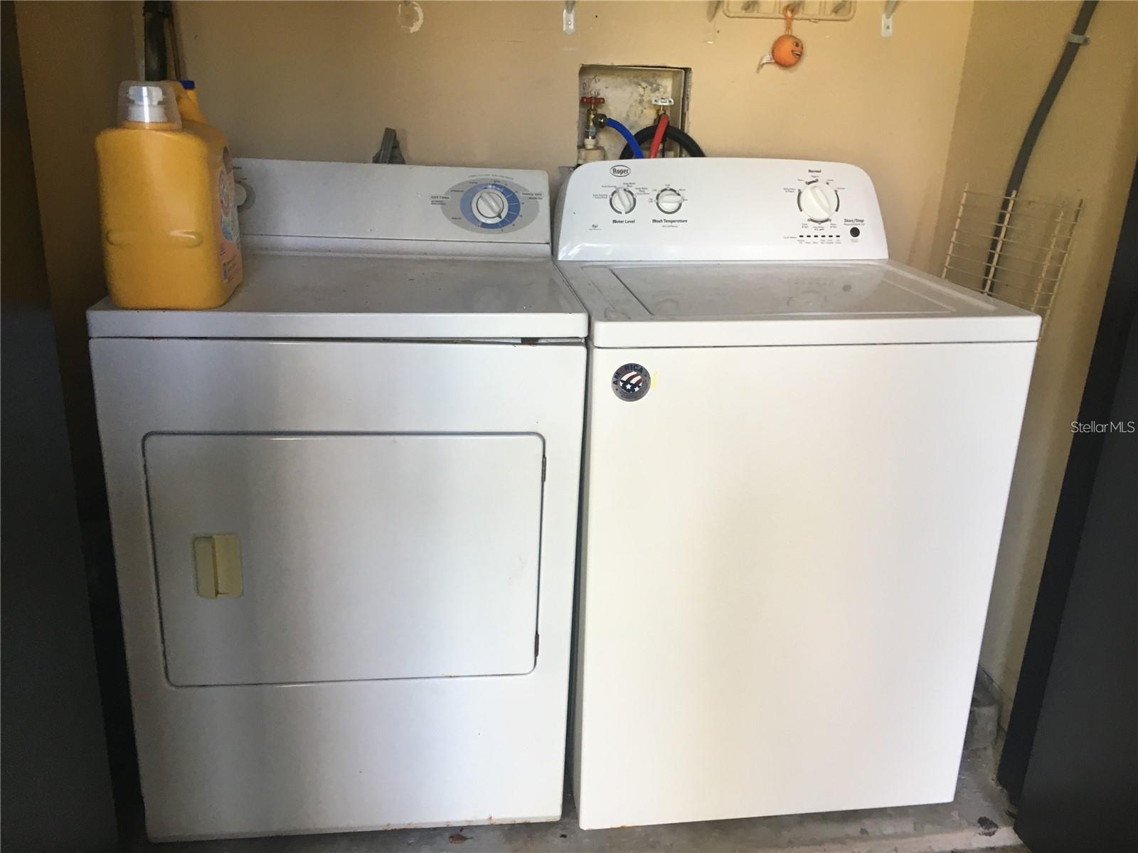 3944 TUMBLE WOOD #101, TAMPA, FL, 33613