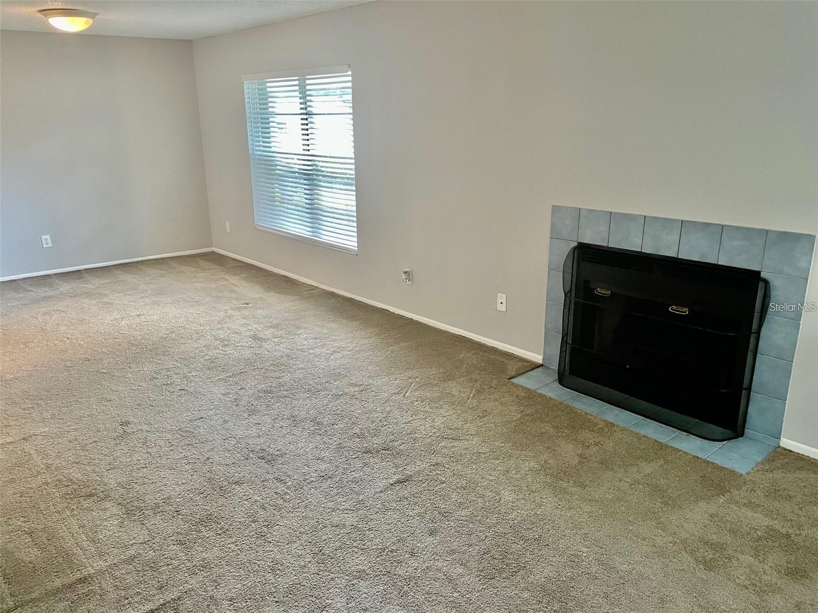 3944 TUMBLE WOOD #101, TAMPA, FL, 33613