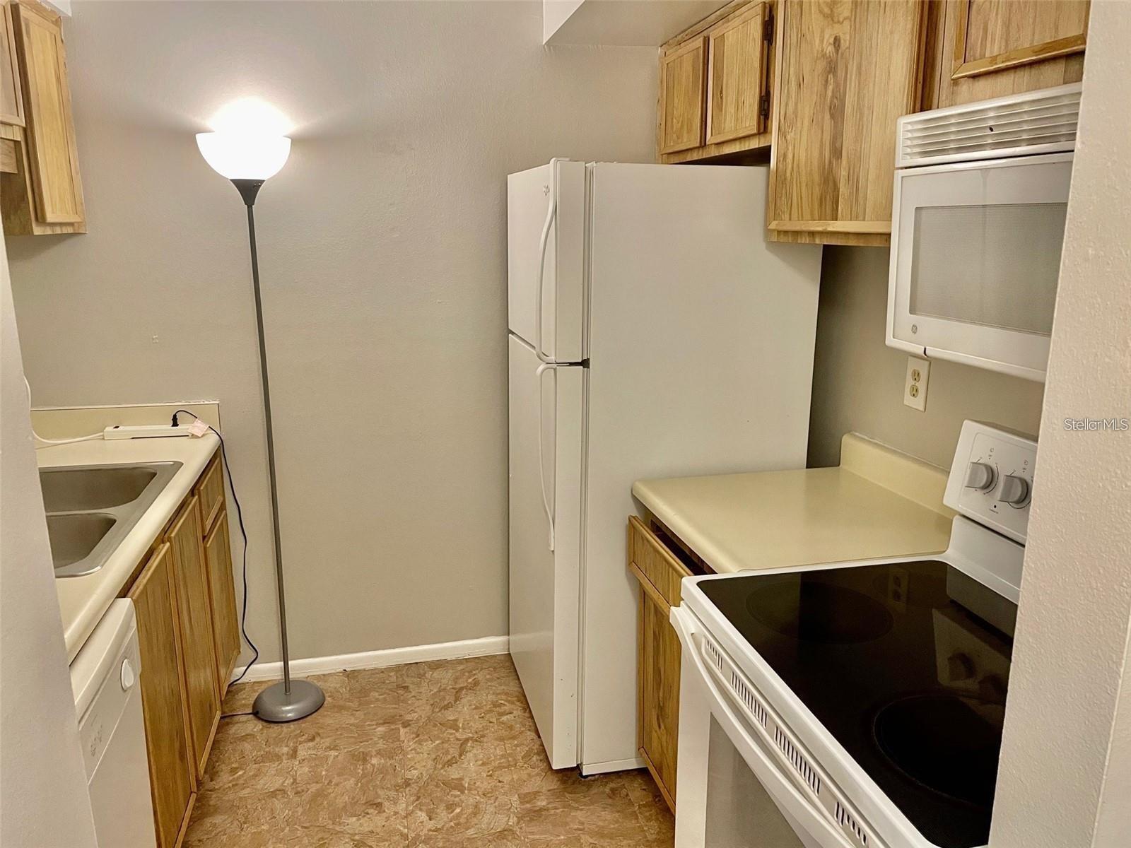 3944 TUMBLE WOOD #101, TAMPA, FL, 33613