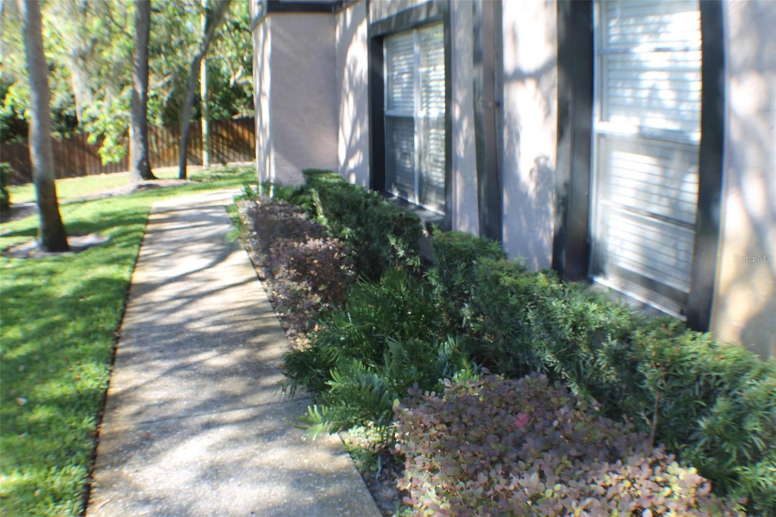 3944 TUMBLE WOOD #101, TAMPA, FL, 33613