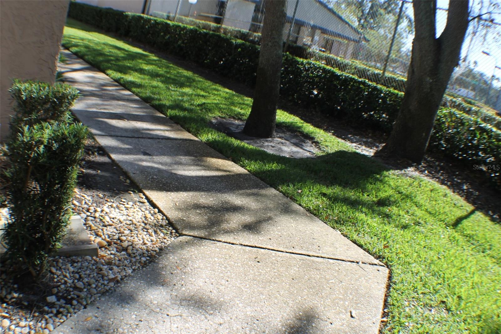 3944 TUMBLE WOOD #101, TAMPA, FL, 33613