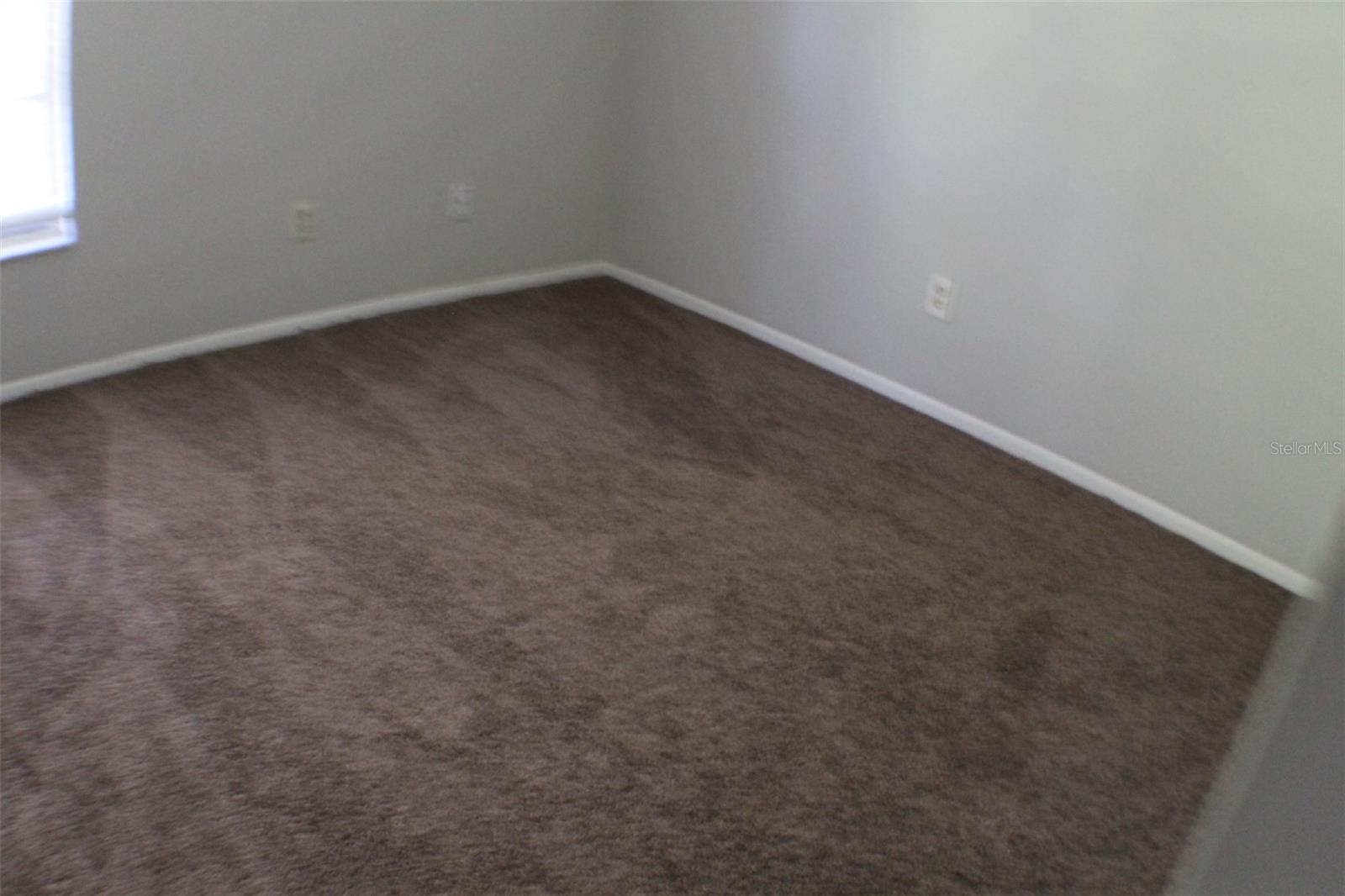 3944 TUMBLE WOOD #101, TAMPA, FL, 33613