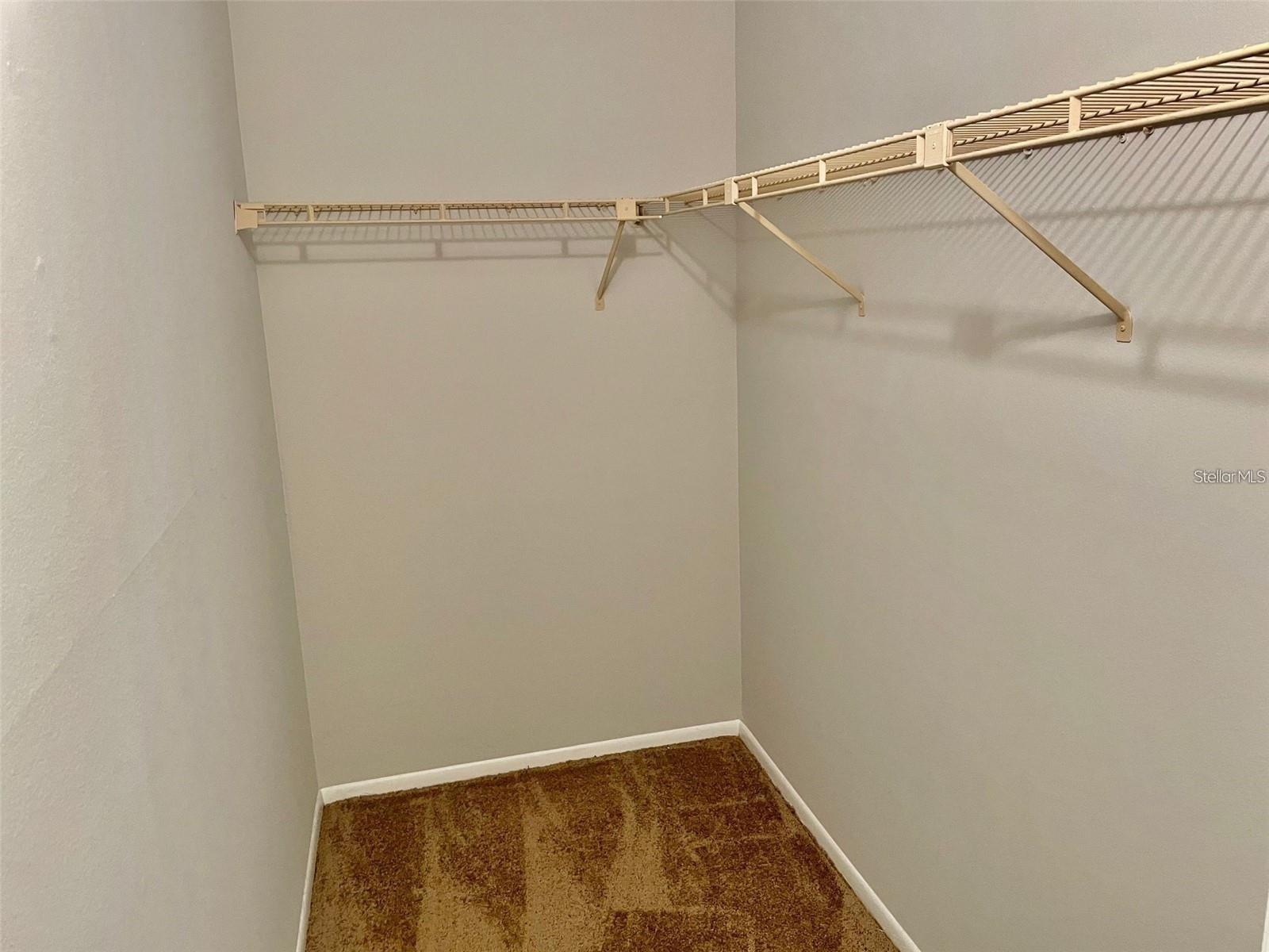 3944 TUMBLE WOOD #101, TAMPA, FL, 33613