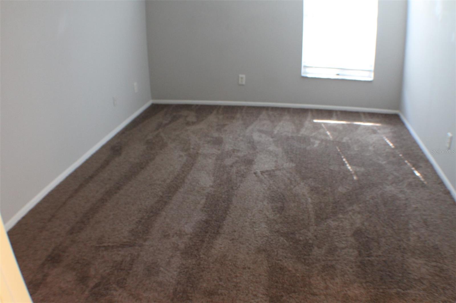 3944 TUMBLE WOOD #101, TAMPA, FL, 33613