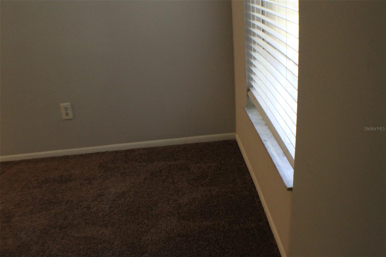 3944 TUMBLE WOOD #101, TAMPA, FL, 33613