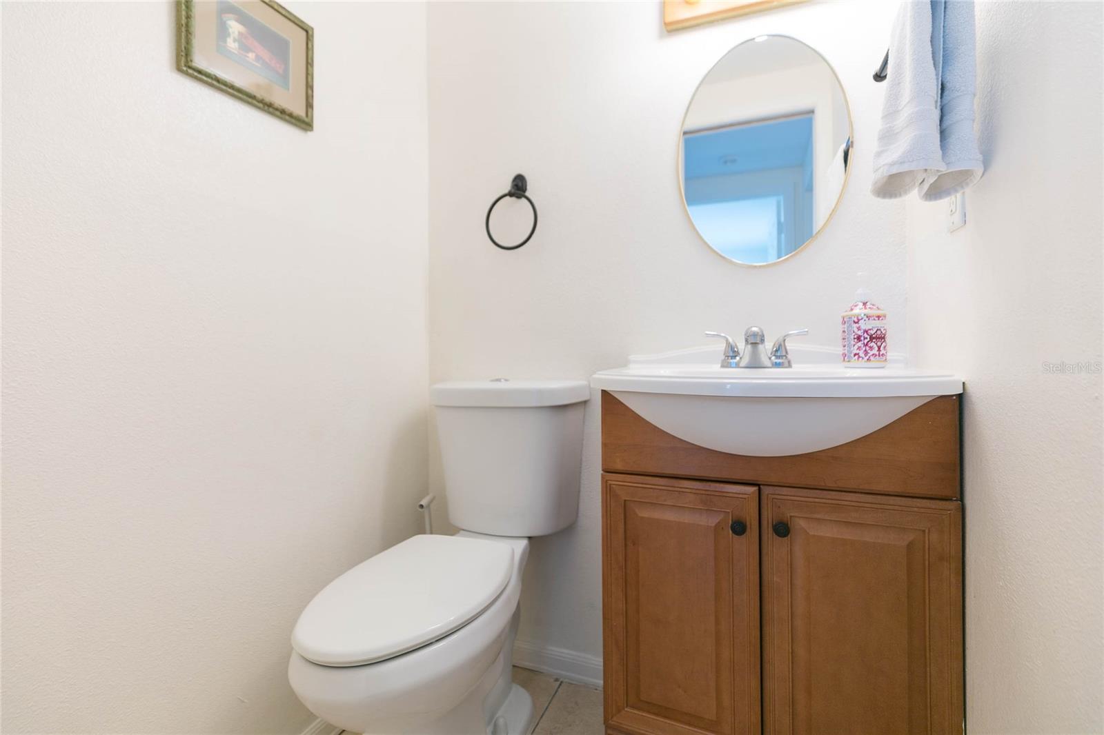 9217 SPY GLASS CT, TAMPA, FL, 33615