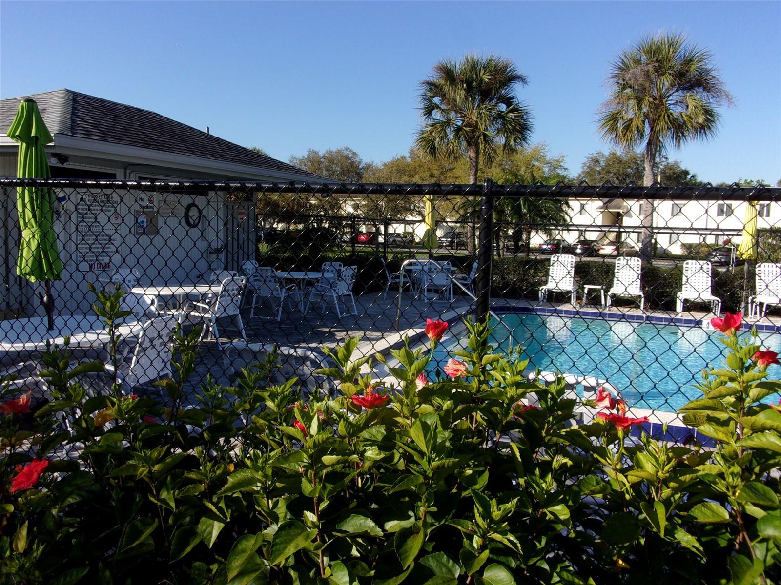 132 E CYPRESS CT, OLDSMAR, FL, 34677