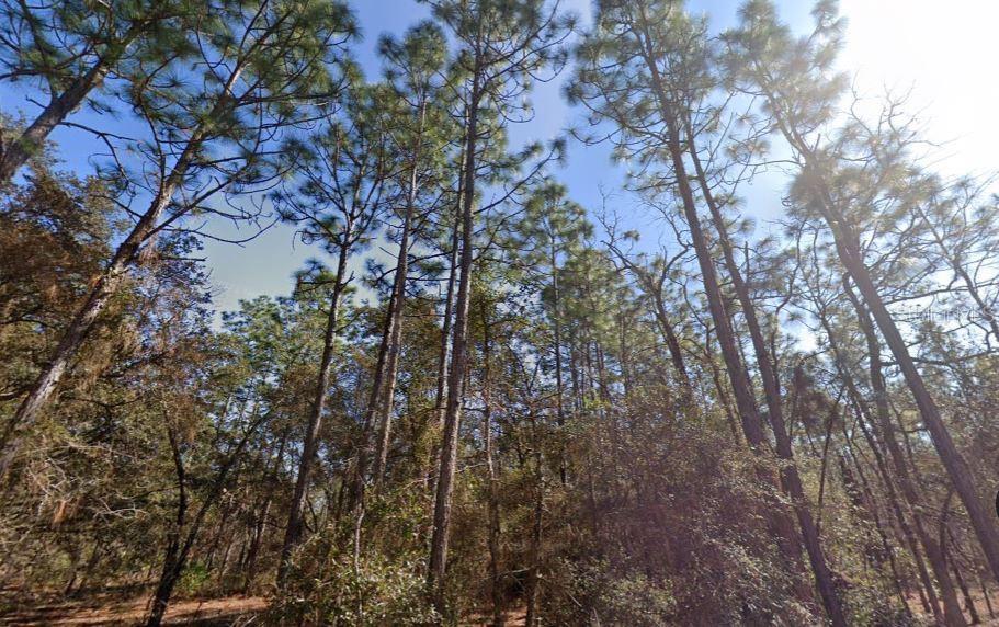 HILLS RD, MELROSE, FL, 32666