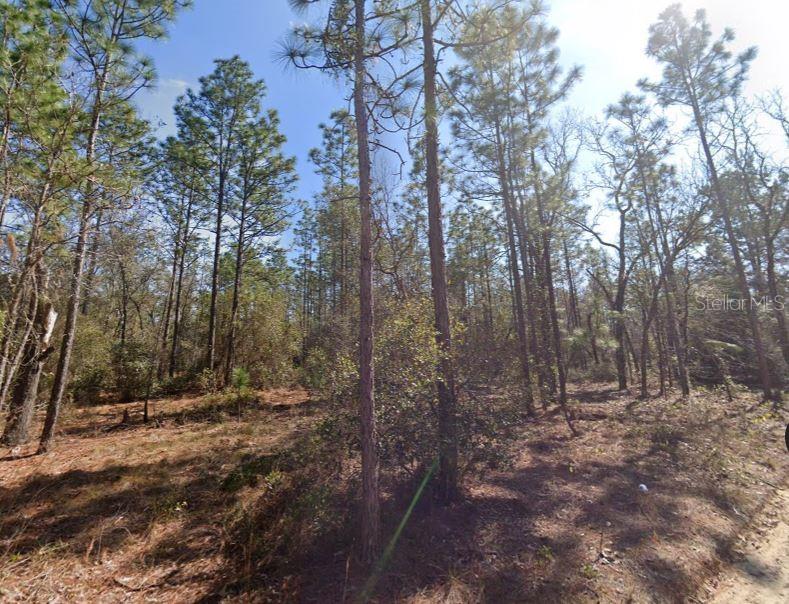 HILLS RD, MELROSE, FL, 32666