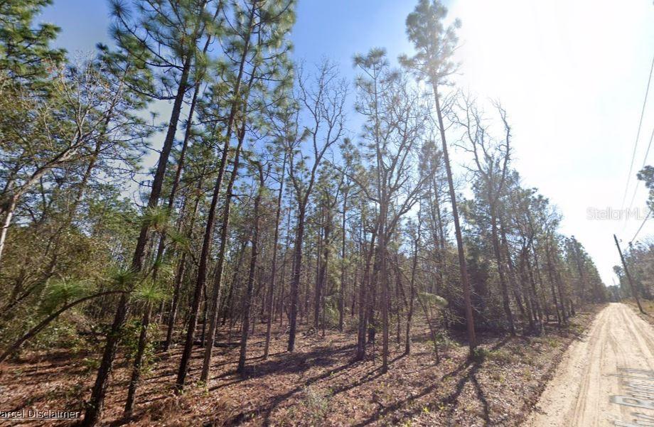 HILLS RD, MELROSE, FL, 32666