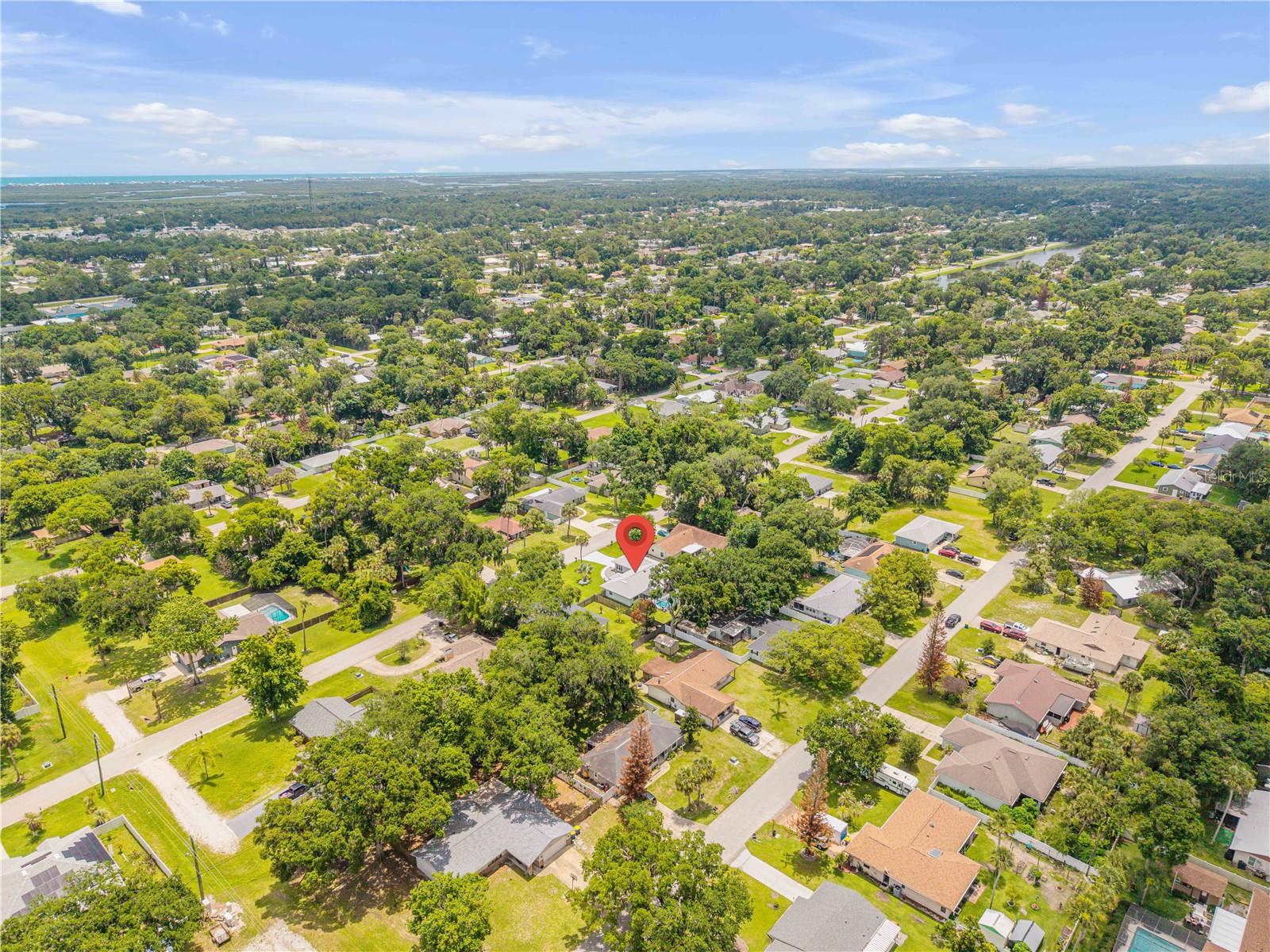 2418 NEEDLE PALM DR, EDGEWATER, FL, 32141