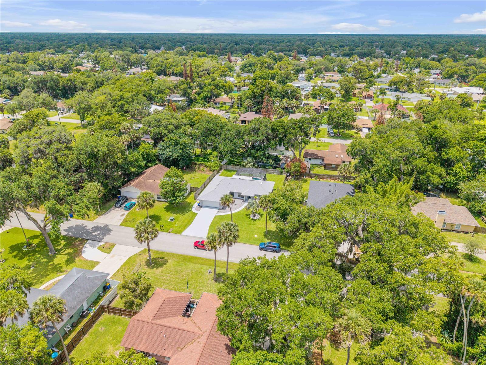 2418 NEEDLE PALM DR, EDGEWATER, FL, 32141
