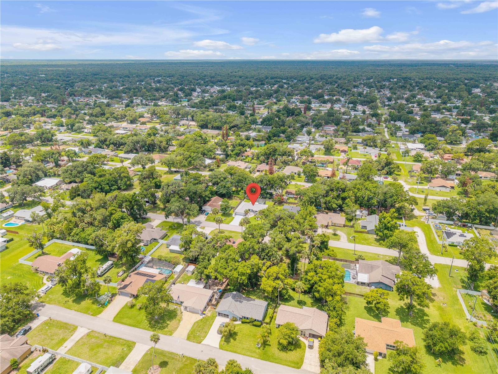 2418 NEEDLE PALM DR, EDGEWATER, FL, 32141