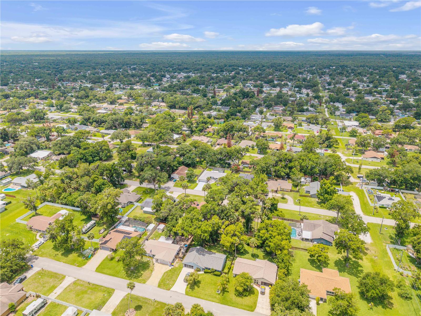 2418 NEEDLE PALM DR, EDGEWATER, FL, 32141