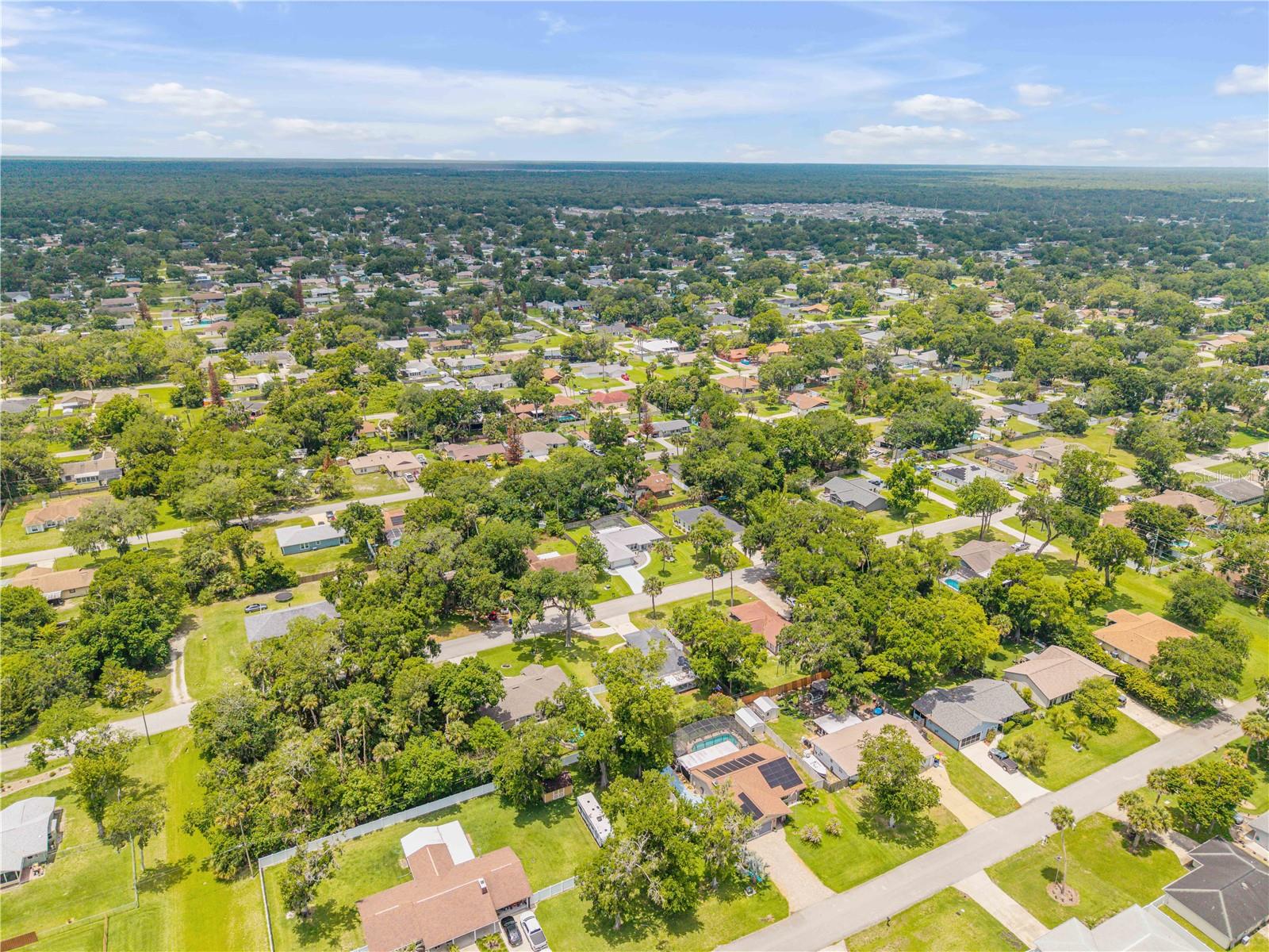 2418 NEEDLE PALM DR, EDGEWATER, FL, 32141