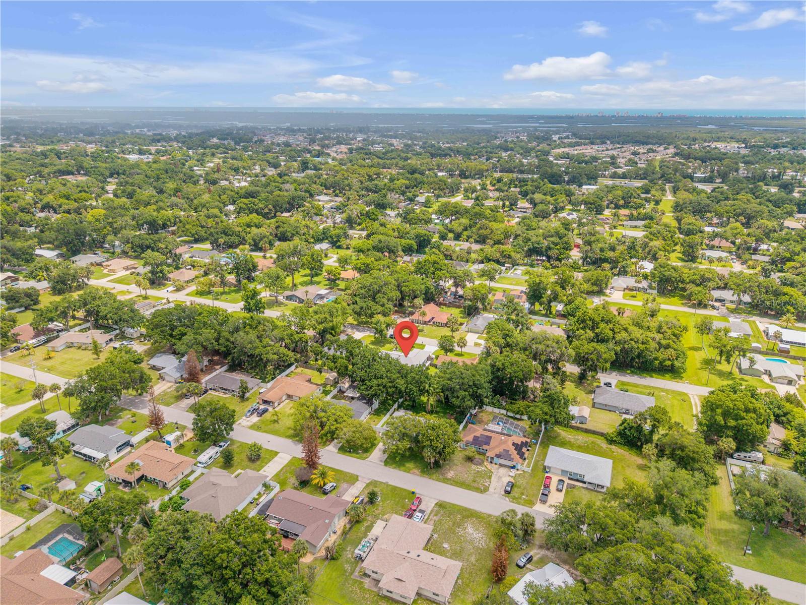 2418 NEEDLE PALM DR, EDGEWATER, FL, 32141