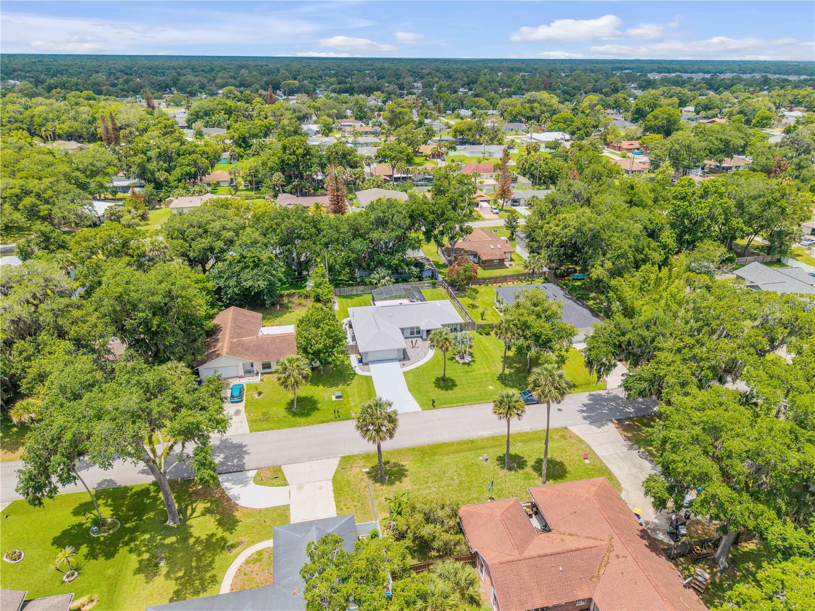 2418 NEEDLE PALM DR, EDGEWATER, FL, 32141
