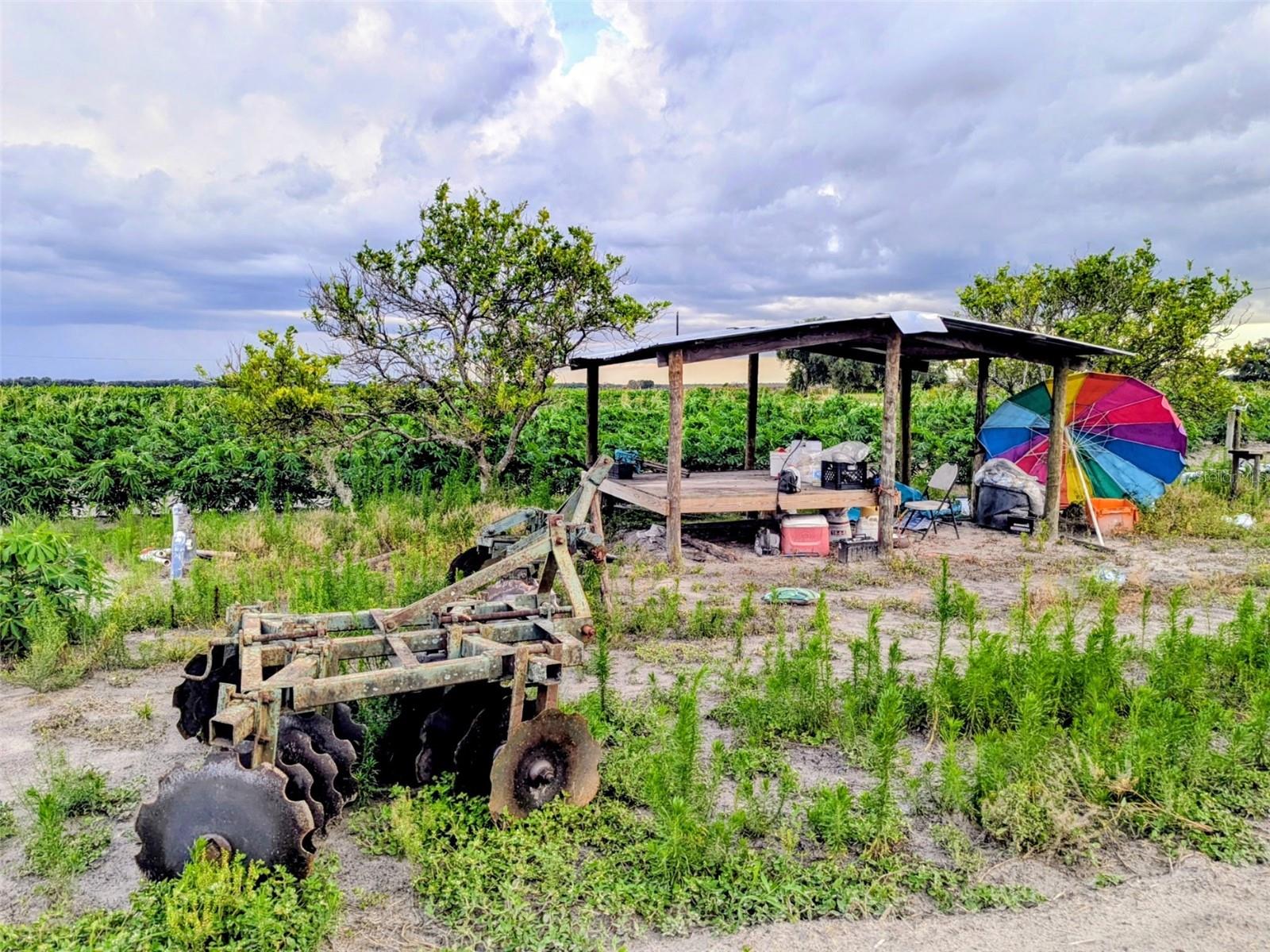 TOM BRYAN RD, ZOLFO SPRINGS, FL, 33890