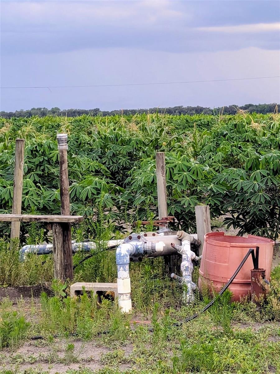 TOM BRYAN RD, ZOLFO SPRINGS, FL, 33890
