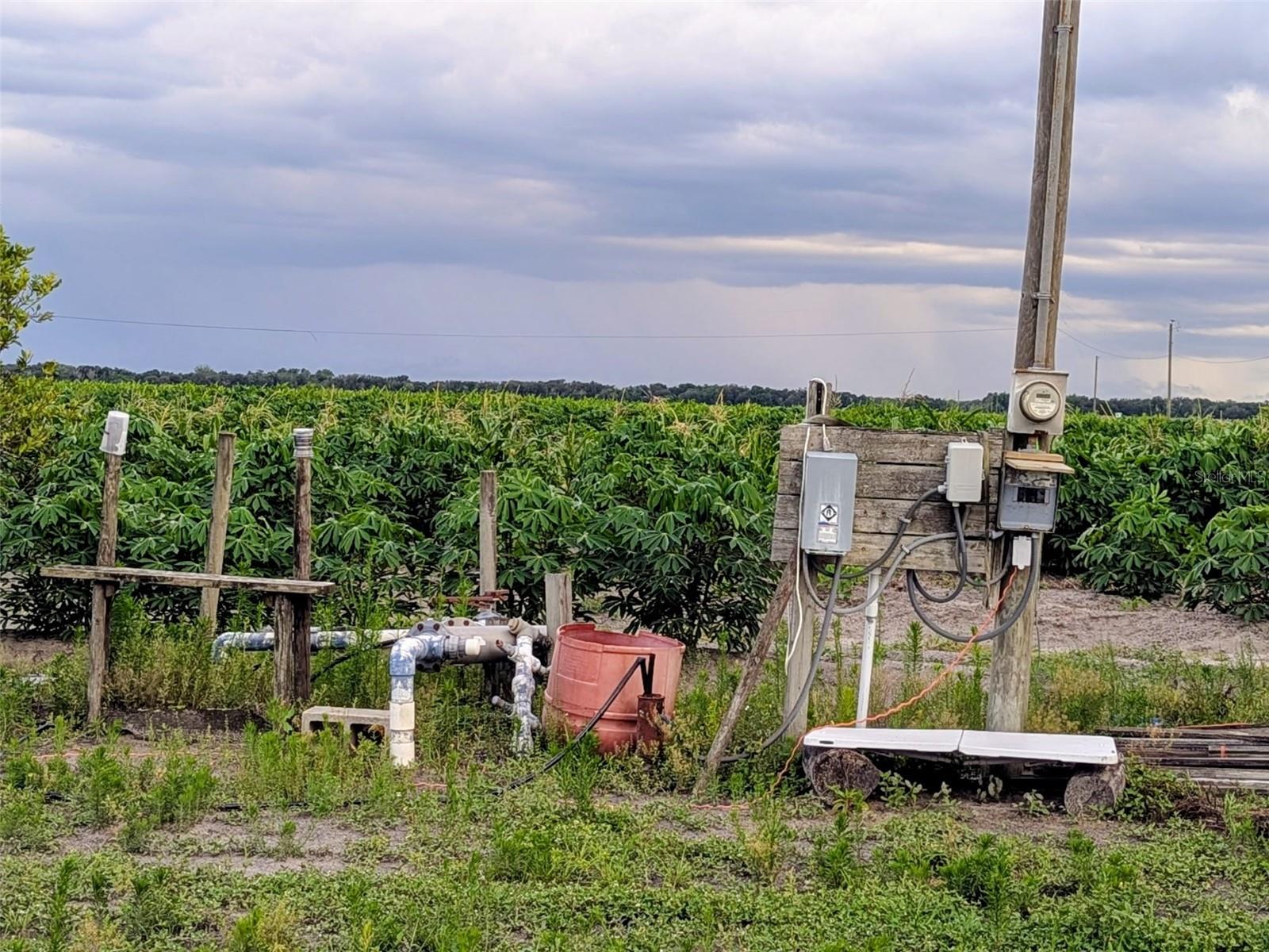 TOM BRYAN RD, ZOLFO SPRINGS, FL, 33890