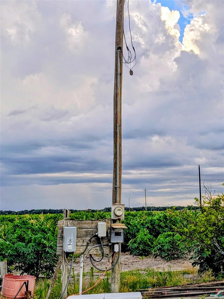 TOM BRYAN RD, ZOLFO SPRINGS, FL, 33890