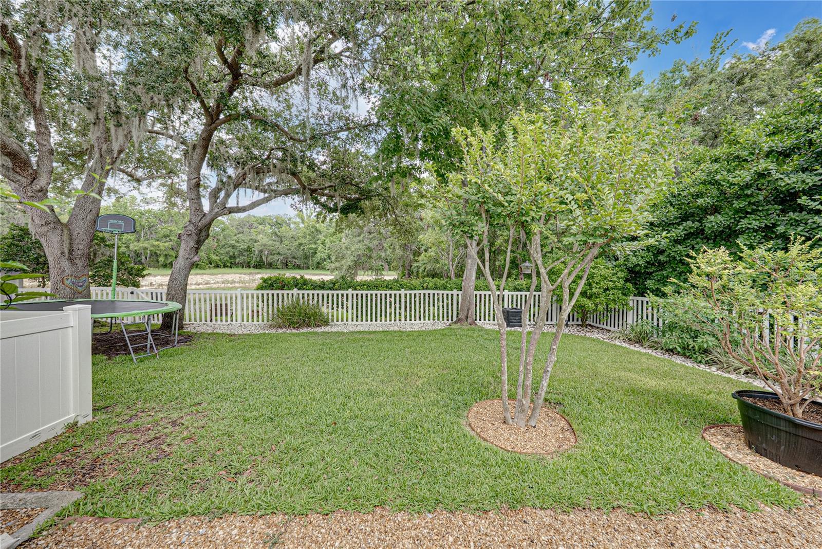 1808 TANGLEDVINE DR, WESLEY CHAPEL, FL, 33543