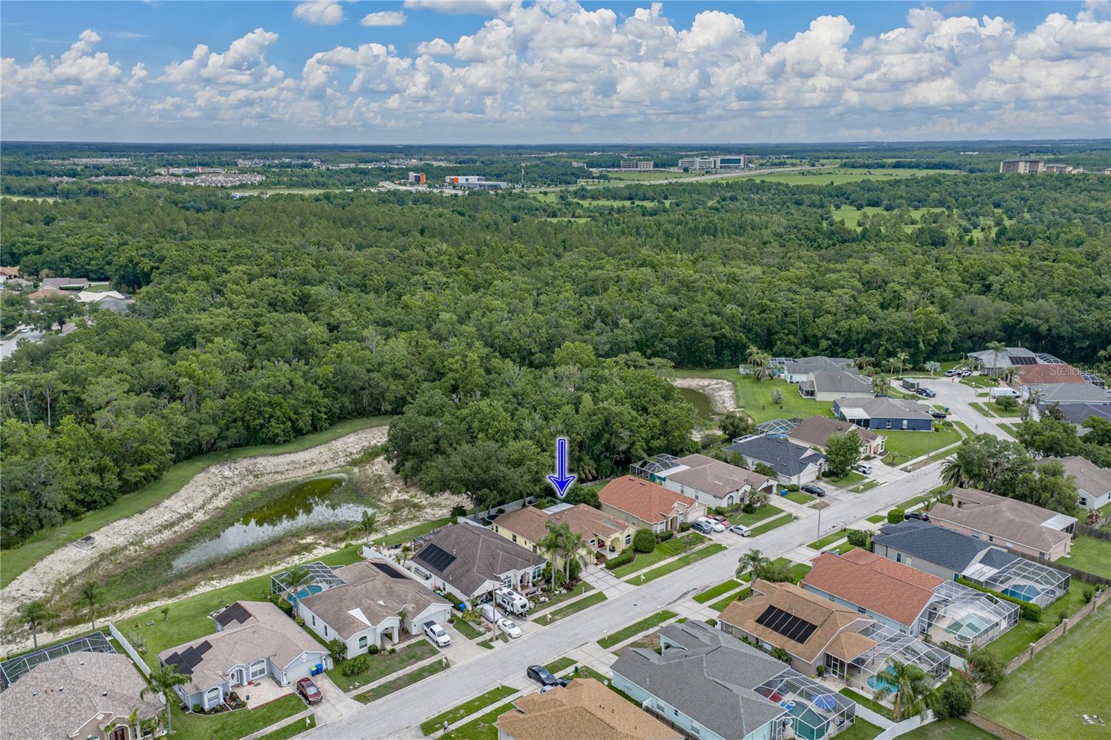 1808 TANGLEDVINE DR, WESLEY CHAPEL, FL, 33543