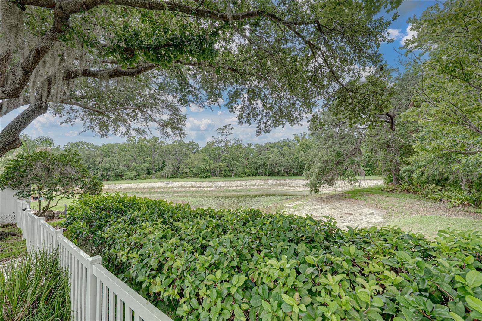 1808 TANGLEDVINE DR, WESLEY CHAPEL, FL, 33543