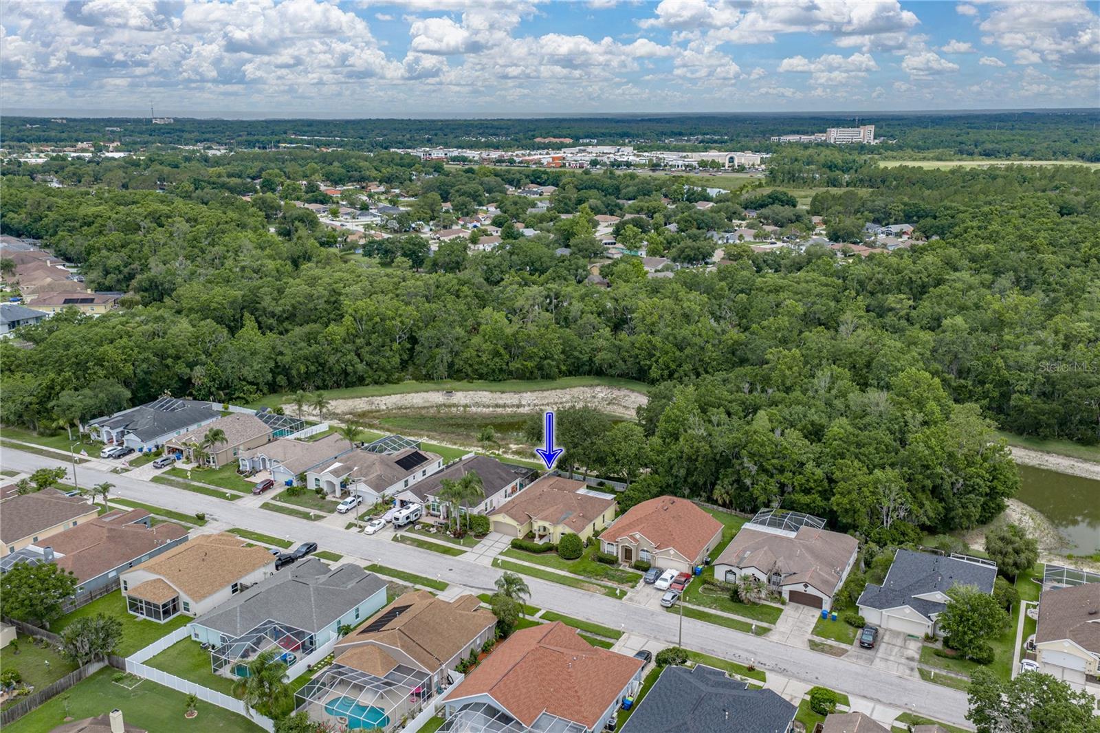 1808 TANGLEDVINE DR, WESLEY CHAPEL, FL, 33543