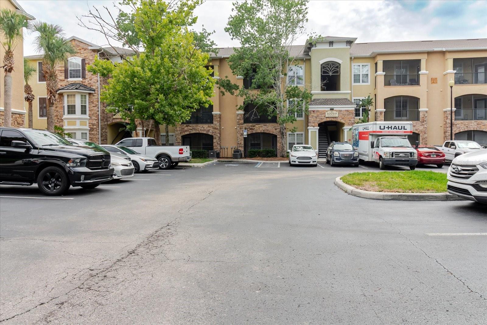 10019 COURTNEY PALMS BLVD #101, TAMPA, FL, 33619