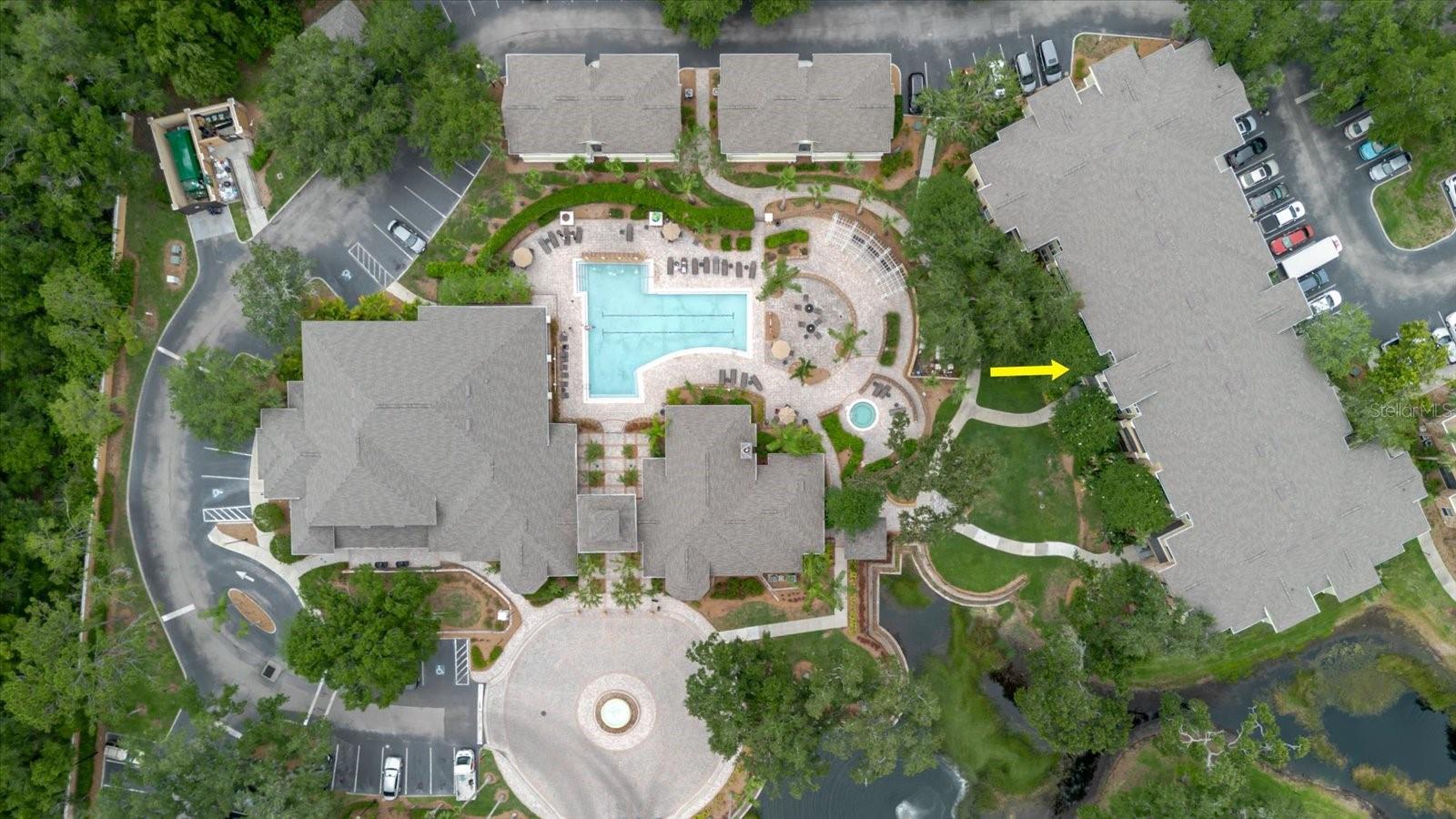 10019 COURTNEY PALMS BLVD #101, TAMPA, FL, 33619