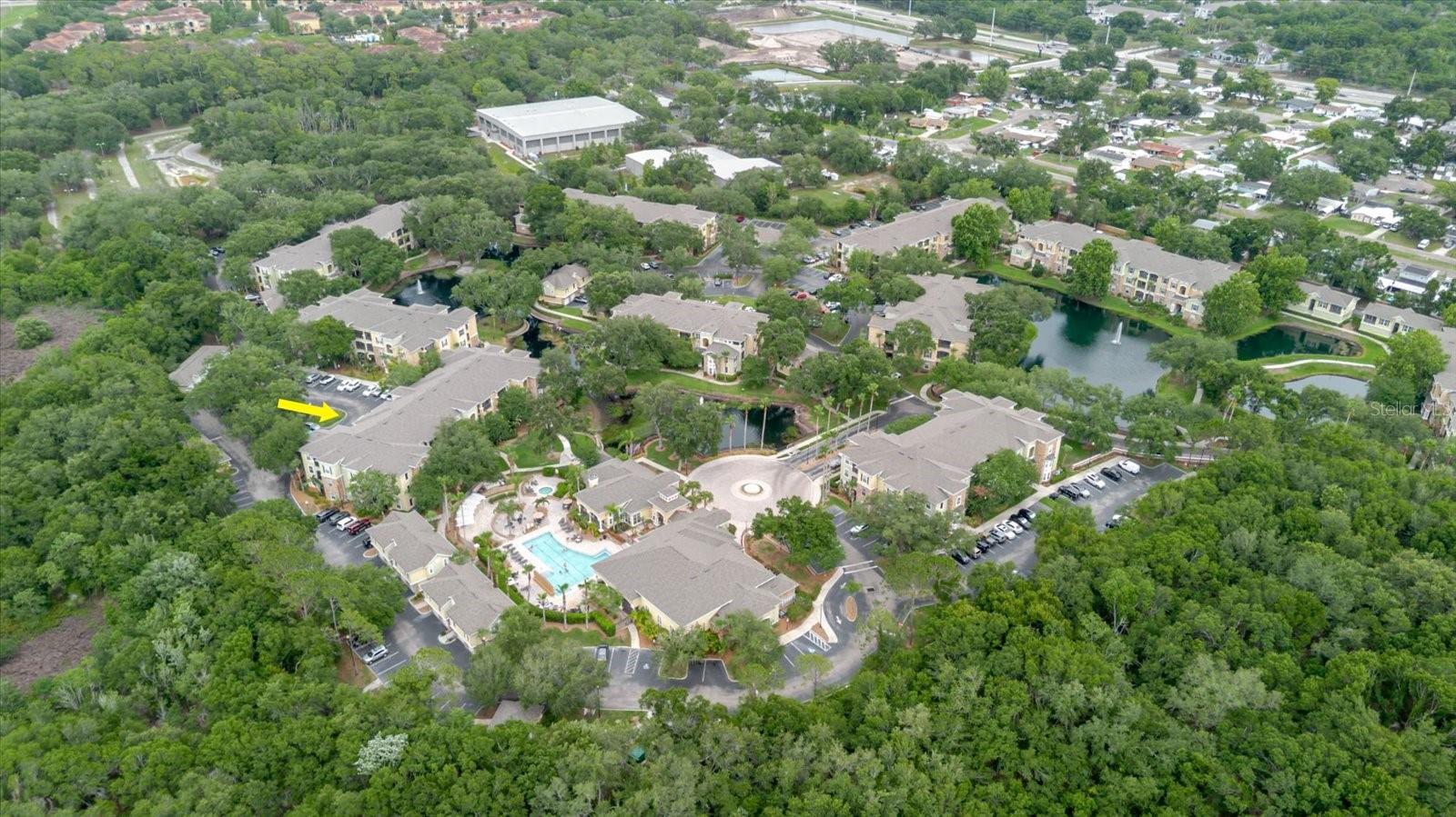 10019 COURTNEY PALMS BLVD #101, TAMPA, FL, 33619
