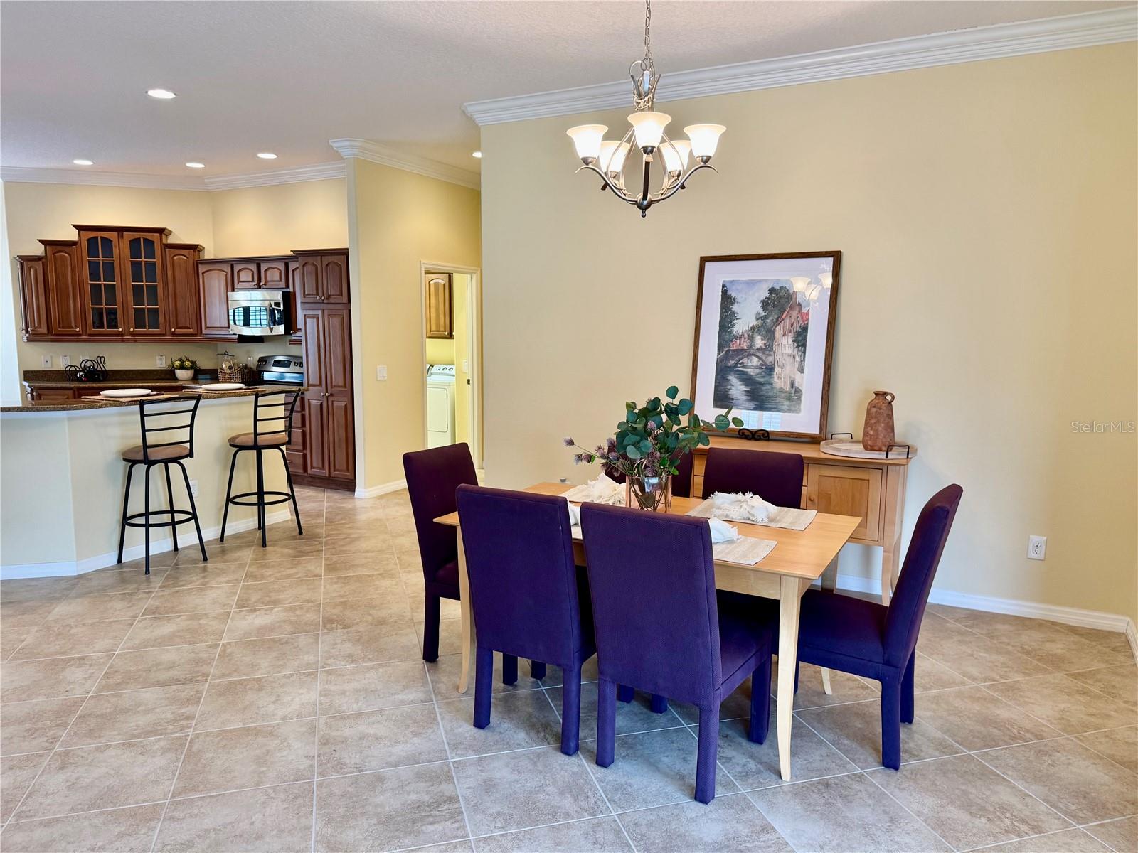2028 ABORDALE LN, THE VILLAGES, FL, 32162
