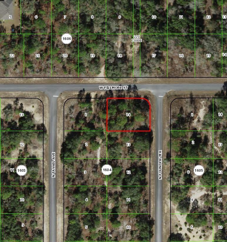 6716 N FOUNDER TER, DUNNELLON, FL, 34433