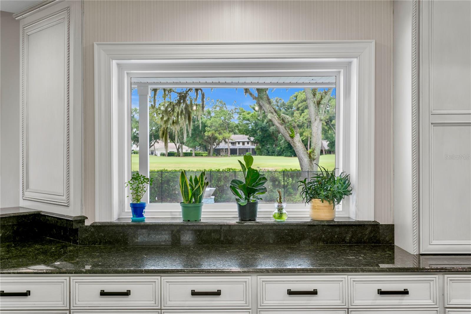 16601 AVILA BLVD, TAMPA, FL, 33613