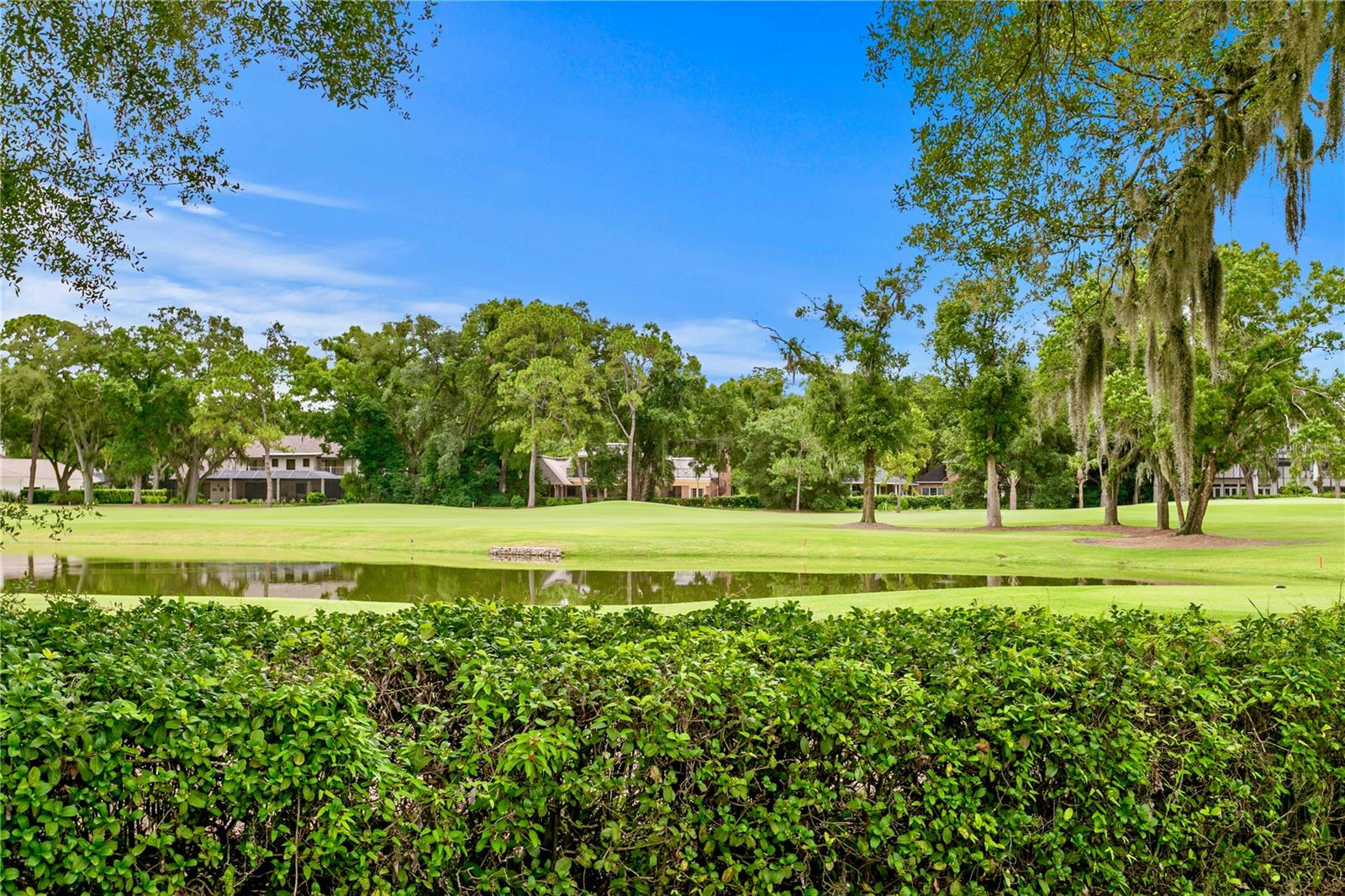 16601 AVILA BLVD, TAMPA, FL, 33613