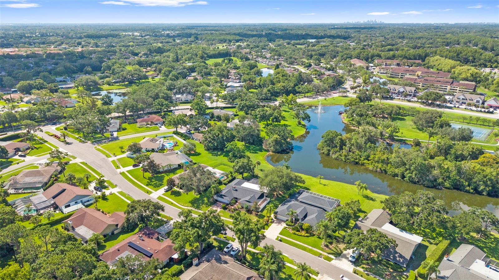 4308 MIDDLE LAKE DR, TAMPA, FL, 33624