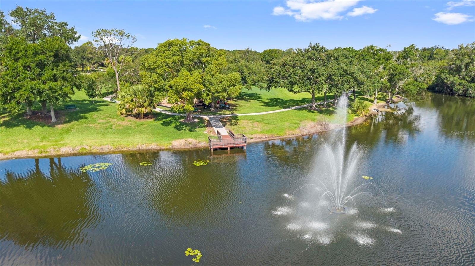 4308 MIDDLE LAKE DR, TAMPA, FL, 33624