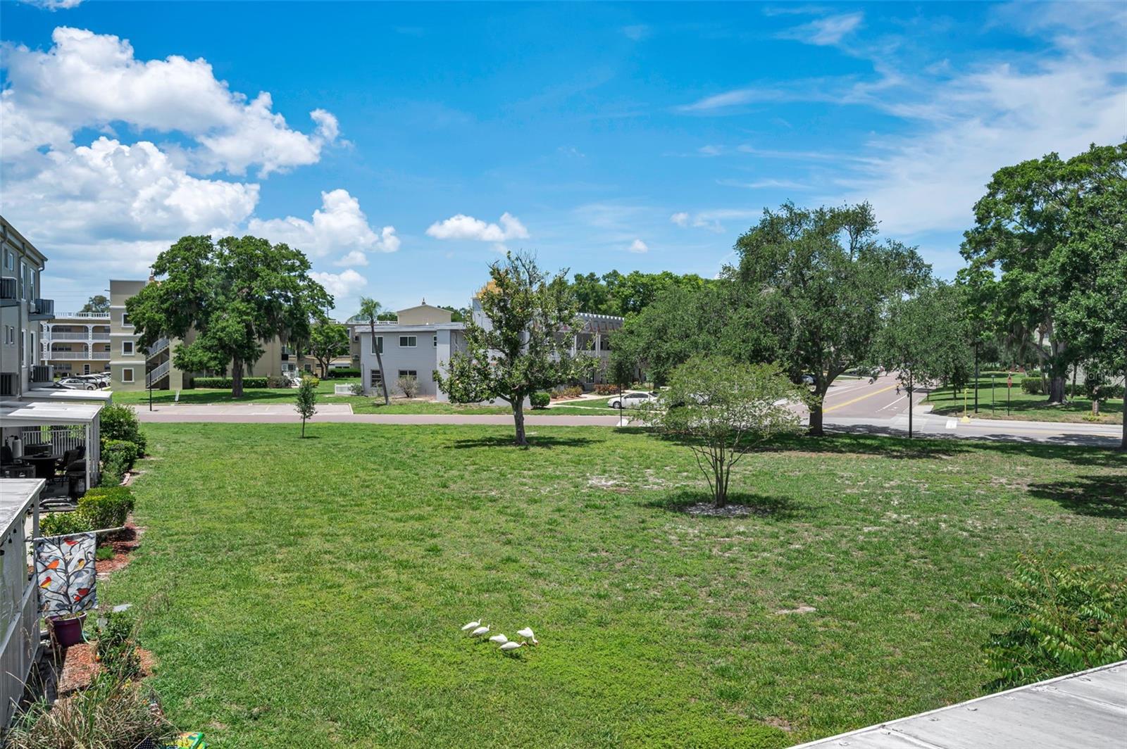 2072 AUSTRALIA WAY W #32, CLEARWATER, FL, 33763