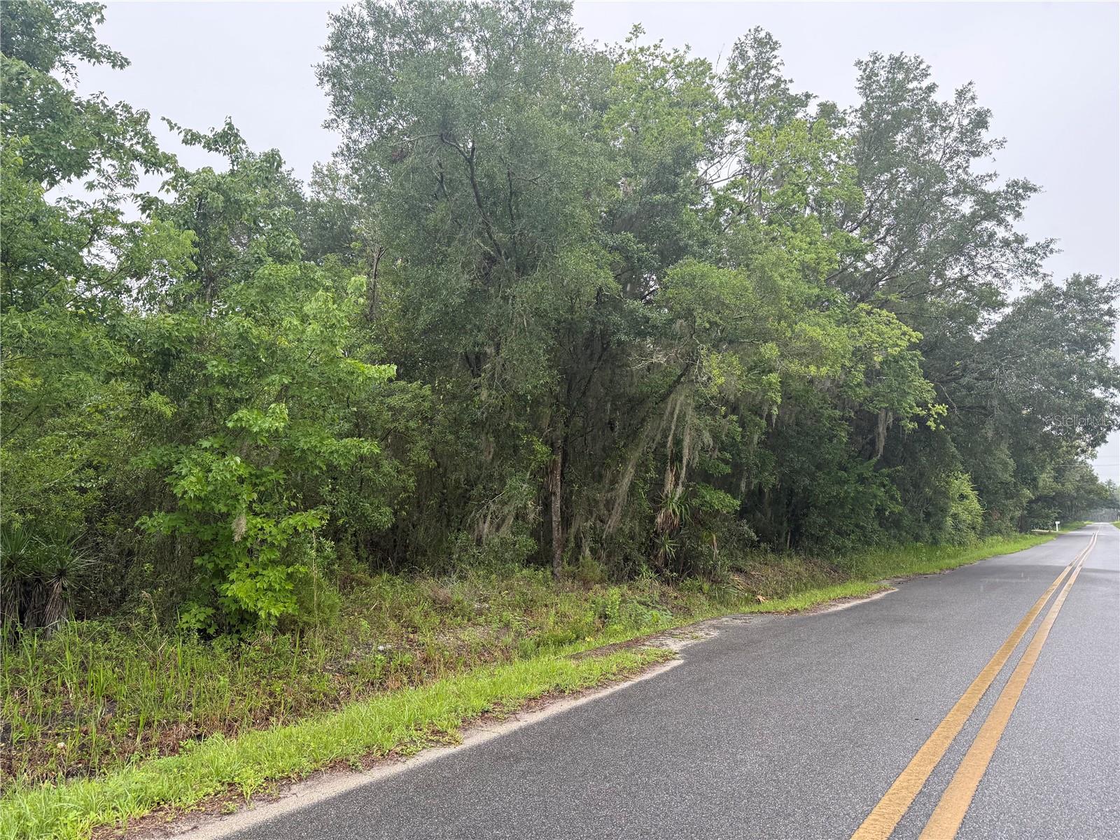 241 DOG BRANCH RD, EAST PALATKA, FL, 32131