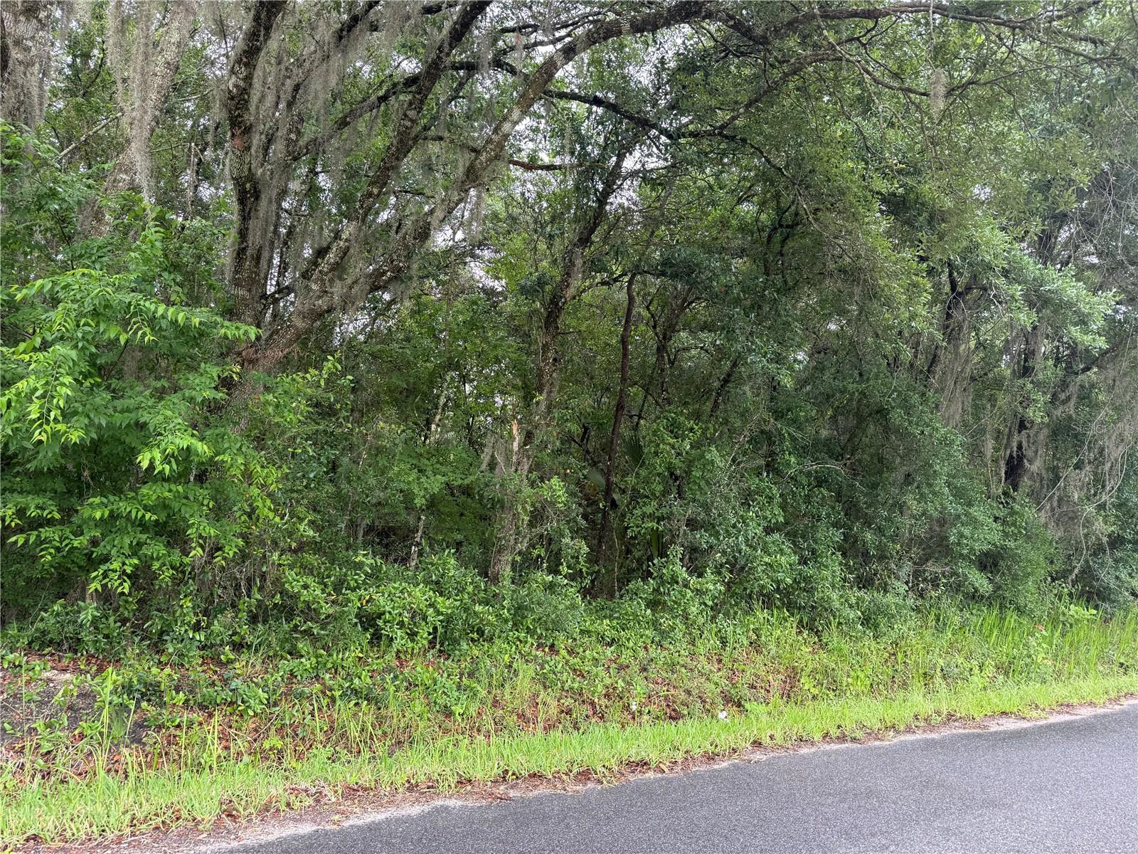 241 DOG BRANCH RD, EAST PALATKA, FL, 32131