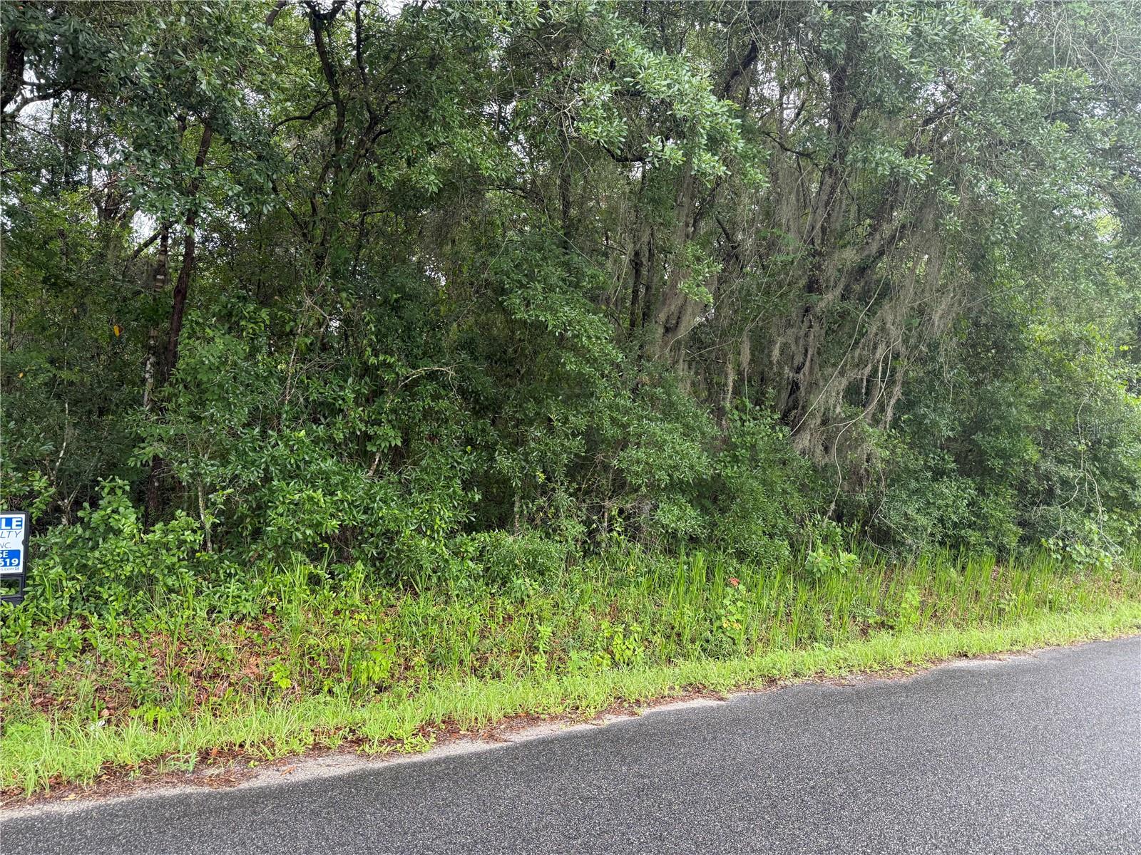 241 DOG BRANCH RD, EAST PALATKA, FL, 32131
