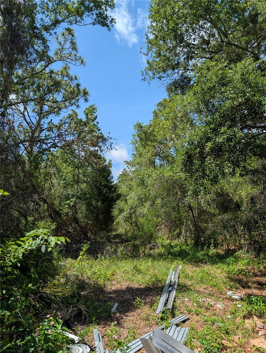 TBD SHALIMAR, NEW PORT RICHEY, FL, 34654