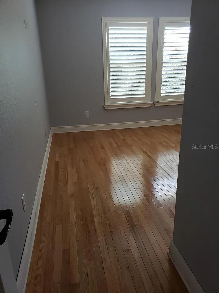 2889 BAYSHORE TRAILS DR, TAMPA, FL, 33611