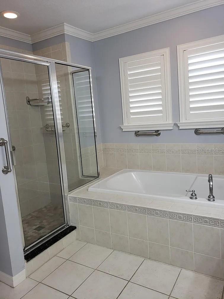 2889 BAYSHORE TRAILS DR, TAMPA, FL, 33611