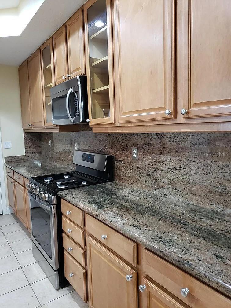 2889 BAYSHORE TRAILS DR, TAMPA, FL, 33611