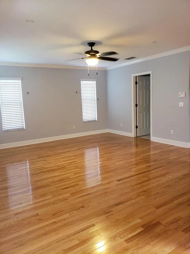2889 BAYSHORE TRAILS DR, TAMPA, FL, 33611