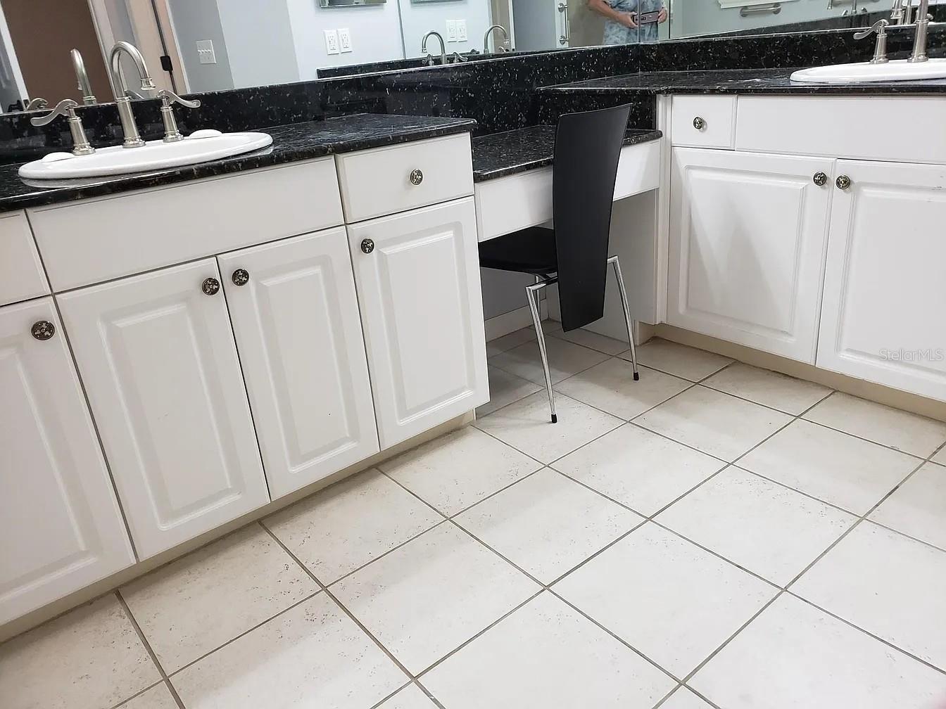 2889 BAYSHORE TRAILS DR, TAMPA, FL, 33611